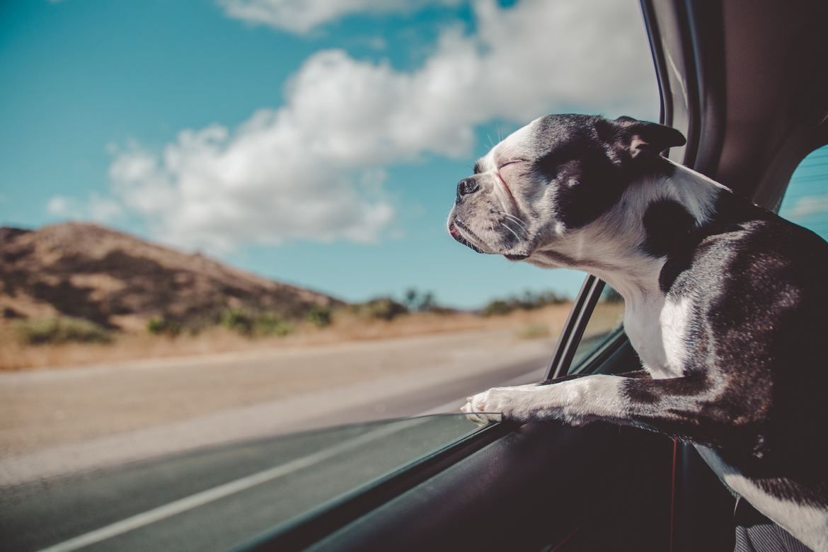 Mexico Car Insurance | The Rios Insurance Agency in Merced County